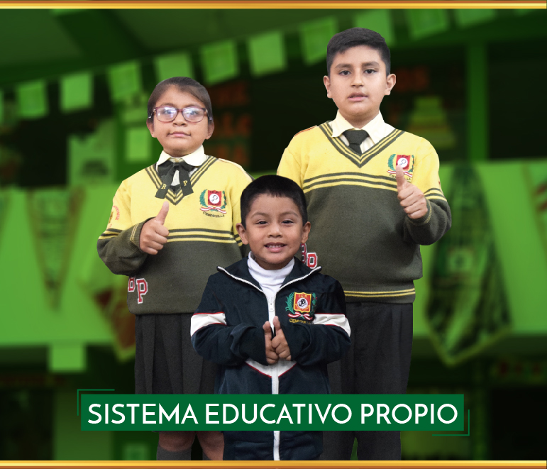 Sistema educativo propio
